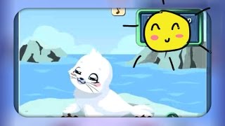 Развивающие Мультфильмы Для Детей ❇ Уход за Животными. Морской Котик.