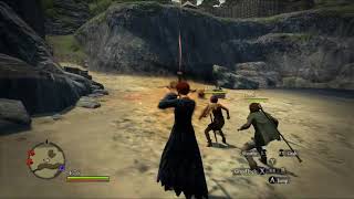 Dragon's Dogma - From Zero to Hero... or something - Max STR/MAG Balanced Build
