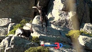 Parque Nacional Sierra de Guadarrama.