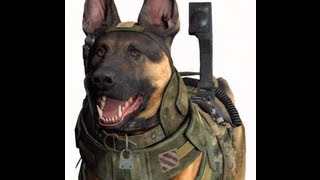 CoD4 - Цирк с собакой
