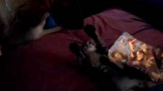 pussy eating