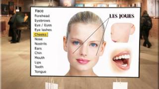 Learn French with Ouino: Le visage (The face)