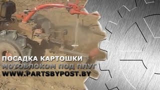 Посадка картошки мотоблоком под плуг