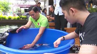 Phóng sự " Thú Chơi Cá Koi ". VTV Cab thực hiện tại Salon Koi Fish 05/2018.