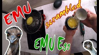 Praženička z vajíčok Emu hnedého, Pštrosí míchané vejce,  Scrambled of emu egg