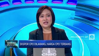 Larangan Ekspor CPO Efektif Jaga Pasokan Minyak Goreng? Ini Kata Ahli