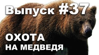 Выпуск 37: Охота на медведя с дерева видео 2013 Bear hunting in Russia.