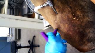 Cartilage repair