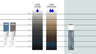 UNDERSTAND EVERYTHING ABOUT MAJIREL COOL INFORCED