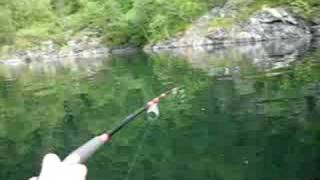 Trout Fishing Norway