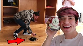 ELEPHANT POOP PRANK ON ROOMMATE