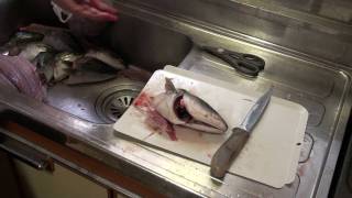 04 cutting fish head.m2ts
