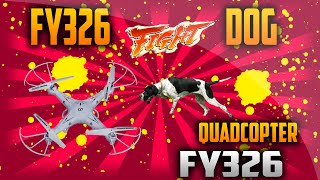 FY326 Q7 Quadcopter: Fight with dog