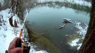 Flagman Firefly Spin  впечатления спустя полтора года