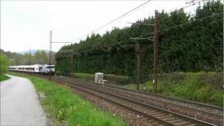 CC-72074 + Rames Flirt + BB-25236