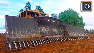 МЕГА МАШИНЫ. ТЕХНИКА по РАСЧИСТКИ ЛЕСА - ТОП 8