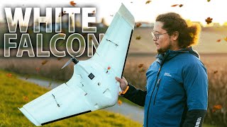 Белый сокол - яркий лучик света этой холодной осенью... [SonicModell ArWing PRO White Falcon]