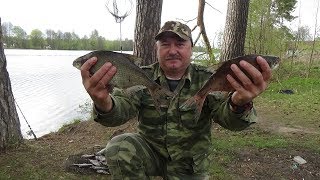Весенний лещ или тянем-потянем вытянуть сможем!!!