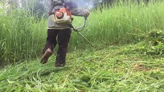 stihl fs250