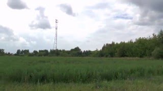 Здесь 25 лет назад была усадьба моих дедушки и бабушки  Все поросло быльем