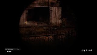DayZ пожарили мясо
