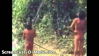 yanomamo bow and arrow