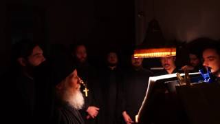 Фрагмент всенощного бдения праздника Введение (Вход) во храм Пресвятой Владычицы