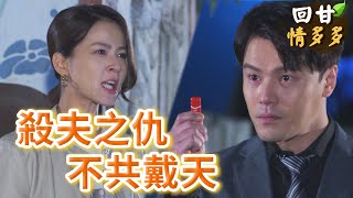 《回甘情多多》EP421 殺夫之仇 不共戴天