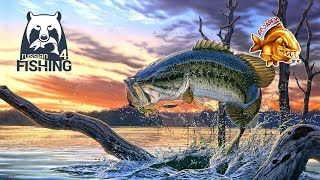 Russian Fishing 4 - Турнир Куори Model One CST S88H Ловим что нибудь.... Розыгрыши.