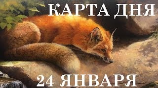 КАРТА ДНЯ 24 ЯНВАРЯ ТАРО ГОРОСКОП ГАДАНИЕ