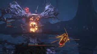 Darkeater Midir. Max summon limit. no deaths