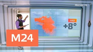 "Климат-контроль": пасмурная погода с дождями вернулась в столицу - Москва 24