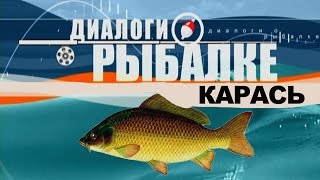 Диалоги о рыбалке - Ужение карася
