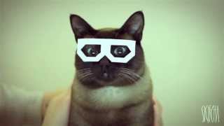 stereo skifcha on Vimeo