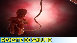 Il cambiamento climatico potrebbe eliminare il genere maschile
