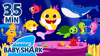 Save the Sea Animals with Baby Shark | Earth Day Songs | +Compilation 