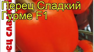 Перец сладкий Гурме F1. Краткий обзор, описание характеристик capsicum annuum Gurme F1