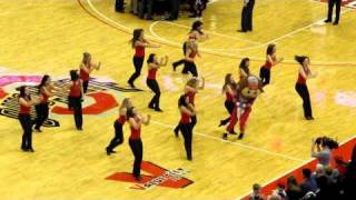 Brutus Buckeye dancing with the OSU Dance Team