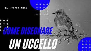 Come disegnare un uccello