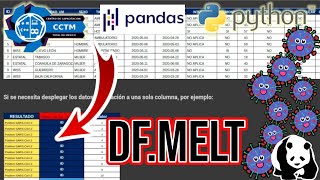 ???? ¿Qué hace MELT en un dataframe? | Cambiar forma del dataframe | Reshaping | Pandas | Python