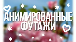 АНИМИРОВАННЫЕ ФУТАЖИ|ELIZAVETA SMILE