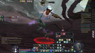 aion, destiny, 2.5, leveling, 31-33, coop,  фармим серебряные монетки и Кромед в СО, осада, сиели