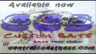 Nose hook split shotting a stick worm. Tips and tricks by Central Coast Bass.
