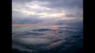 Все Цвета Черного Моря Грузии В Один День / Black Sea (Poti, Kobuleti, Batumi, Gonio Kvariati)