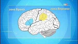 Операция на мозге. Доктор И...