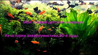 Аквариумистика 60 лет назад. Как  это было когда-то?...