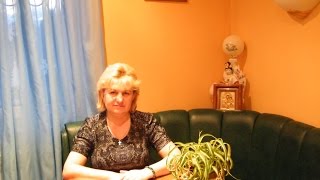 Плодородные,  полуплодородные и бесплодные знаки зодиака (посева, посадки овощей). Лунный календарь