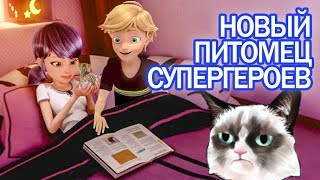 Леди Баг и Супер Кот завели домашнее животное вместе - Miraculous Ladybug Season 2 Speededit