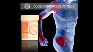 მხატვრიშვილის მალამო