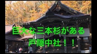 巨大な三本杉と御神木が素晴らしい！！戸隠神社中社（長野県戸隠）